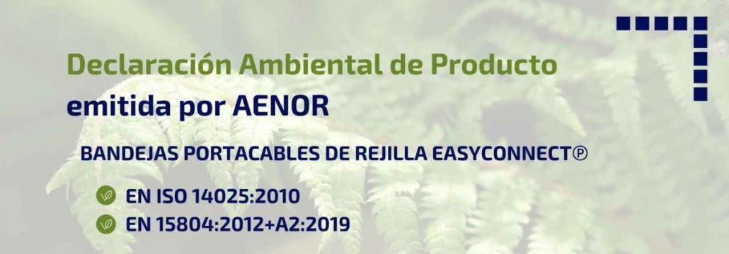 aenor